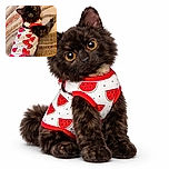 A fluffy black cat with striking yellow eyes lounges on a patterned carpet, wearing an adorable watermelon-patterned outfit that adds a splash of summer fun to the cozy indoor scene.