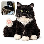 A majestic black and white cat lounges comfortably on a textured, fringed cushion with a cozy blanket in the foreground, staring intently with bright yellow eyes that seem to hold the secrets of the universe.