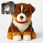 A fluffy brown and white puppy with striking blue eyes is perched adorably on a car's center console, looking straight at the camera with a mix of curiosity and seriousness, as if ready for a road trip adventure.