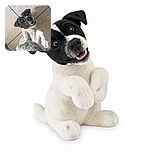 A delighted black-and-white dog lies on its back with paws in the air, looking like it just discovered the secret to happiness while a fluffy gray toy investigates its belly. The tiled floor completes this wonderfully goofy canine spa-session portrait.
