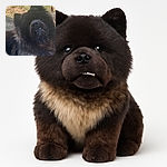 A fluffy black dog with a cheeky grin showing its teeth, looking up with a slightly tilted head against a grassy background. The dog's thick fur and expressive face give it a charming, goofy personality.
