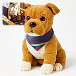 A dignified dog sits comfortably on a colorful blanket draped over a wooden chair, basking in warm sunlight streaming through a nearby window, creating a cozy and serene indoor scene.