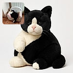 A chubby black and white cat is comfortably sprawled out on a small armchair with a pink cover, looking very relaxed and slightly sleepy. The cozy indoor setting features wooden flooring and light-colored furniture, making the cat the undeniable star of the scene.