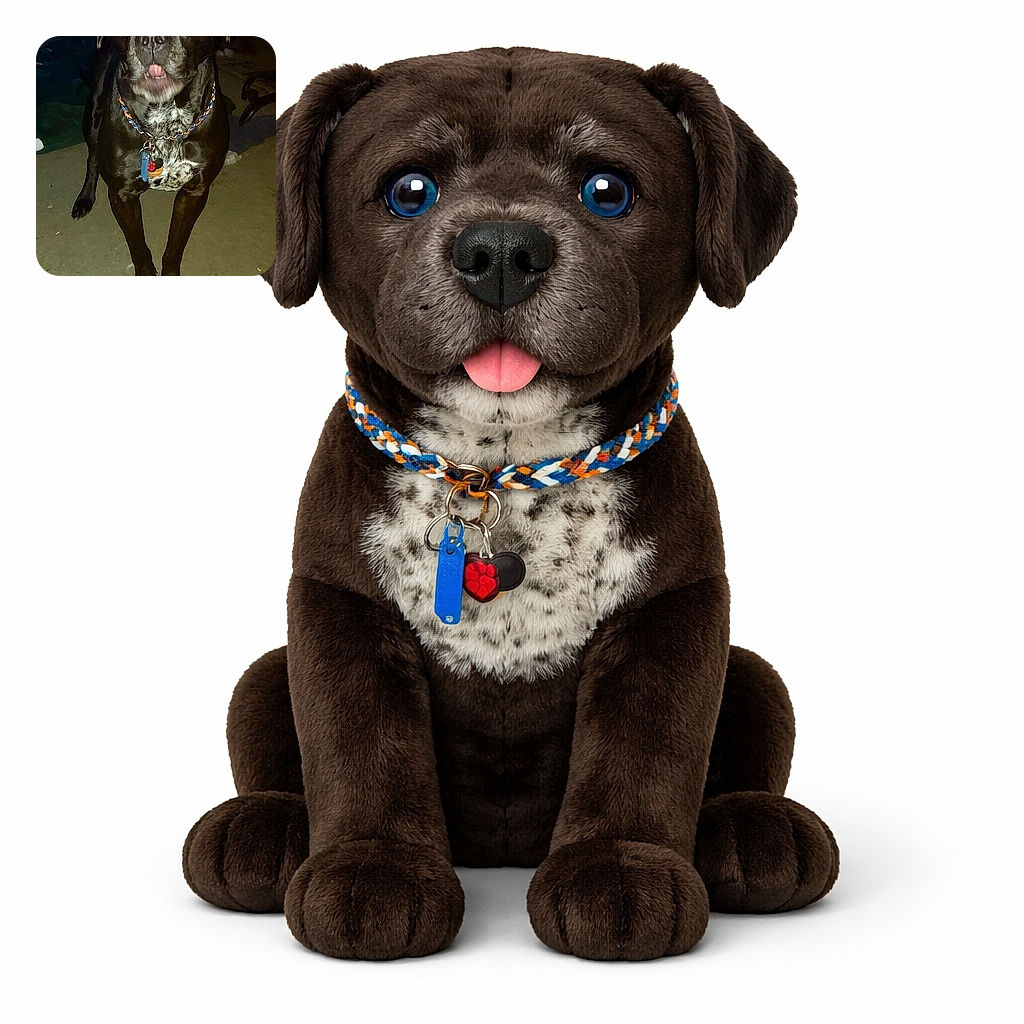 A flash-lit black dog stands center-frame like a goofy bouncer — glowing blue eyes from the camera flash, a little tongue peeking out, braided chain collar and tags jangling, all on a concrete floor in a dim room.