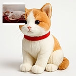 A sleepy ginger and white cat lounges comfortably on a soft surface with a cozy red blanket, looking relaxed and slightly drowsy in a calm indoor setting.