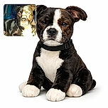 A dog basking in bright sunlight that creates a striking contrast on its face, with one eye squinting as if judging the sun for its intensity, while the background remains dim and indistinct.
