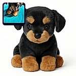 A fuzzy little puppy with a mix of black and tan fur is perched on a bright teal cushion, looking adorably curious but slightly blurry as if caught mid-wiggle. The background shows a purple pillow and some furniture, adding a cozy home vibe.