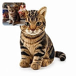 A dignified tabby cat sits squarely in the spotlight, staring into the camera like the stern curator of a tiny museum. Behind it, shelves of figurines and books create a wonderfully busy backdrop, while a colorful abstract sculpture appears to be auditioning for the role of the cat’s chaotic sidekick.