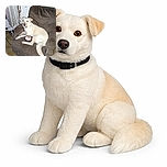 A light-colored dog lounges on a worn brown armchair with a pink toy on its front paws, staring directly at the camera with glowing eyes from the flash. The background shows a damaged wall and a curtain, with a metal dog bowl on the floor nearby.
