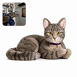 A dignified gray cat lounges on a leopard-print cat tree like the tiny landlord of a very sentimental gallery, calmly supervising family portraits, inspirational wall art, and a colorful blanket from its plush throne.