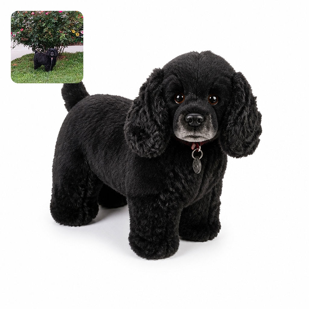 A fluffy black dog stands proudly on the lawn like a tiny garden security guard, posing beneath a riot of bright pink roses. Its leash trails forward dramatically, while the flower bed provides a colorful botanical backdrop. A small camera timestamp appears near the bottom, but it is not a user-added promotional overlay.
