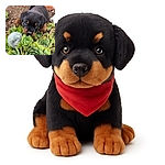 A curious Rottweiler puppy is nestled among vibrant green succulents, peering intently at the camera with soulful eyes. The earthy garden background and the cracked glass orb add a touch of rustic charm to this heartwarming outdoor scene.