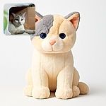 A sleepy cat is lounging inside a cardboard box, peeking through a torn opening with a relaxed and slightly disinterested expression, surrounded by the rough texture of the box and soft indoor lighting.