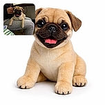A happy little pug puppy is lounging comfortably on a person's lap, tongue out and eyes wide with excitement, while the cozy indoor setting adds warmth to the scene.