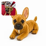 A wide-eared puppy sits proudly on a blazing red bedspread, staring into the camera like it has just been elected president of the household. Behind it, a child reads while the dog’s giant ears steal the entire show.