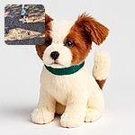 A small dog with white and brown fur looks up with a curious expression, standing on a rocky dirt ground with shadows cast around. The green leash adds a pop of color and hints at an outdoor walk adventure.