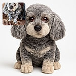A fluffy gray dog stands attentively on a patterned blanket with a cozy, homey background featuring wooden furniture and a framed picture. The dog's eyes reflect the camera flash, giving it a slightly glowing look, while a digital timestamp reading '11:50' overlays the bottom left corner of the image.