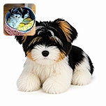 A fluffy black, white, and tan puppy lounges proudly in a colorful cushioned bed, looking like a tiny rock star who has conquered the world’s comfiest throne.