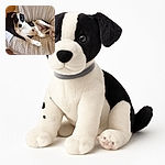 A relaxed black and white dog lounges comfortably on a textured beige armchair, looking curiously at the camera with wide eyes, surrounded by cozy home vibes.