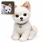 A curious little white and tan dog with big round eyes looks up with an innocent expression, standing on a patch of dirt and sparse grass. The photo is slightly soft but captures the pup's adorable face perfectly.