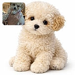 A fluffy, curly-haired puppy is being held up by a hand, looking adorably curious with shiny black eyes and a tiny nose, against a cozy indoor background with soft lighting.