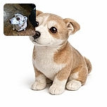 A curious dog with big, soulful eyes looks up eagerly from a rustic kitchen floor, as if waiting for a treat or some loving attention.