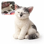 A cozy white and gray cat is peacefully napping on a floral-patterned cushion, basking in soft natural light with a relaxed vibe that screams 'do not disturb.'