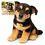 A charming dog lounges comfortably on a textured blanket under warm sunlight, with a curious and attentive expression that could melt any heart. The background is softly blurred with greenery, giving a cozy and peaceful vibe.