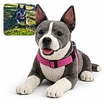 A happy dog with a pink harness lounges comfortably on the grass in a sunny park, soaking up the warmth with a relaxed expression and perky ears, surrounded by trees, a trash can, and a fence in the background.