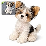 A fluffy little puppy sitting on a carpet, tilting its head with giant ears and soulful dark eyes — part furball, part velvet marshmallow, looking ready for snacks or mischief. Background shows a green mat corner and a small wheel, keeping the scene cozy and domestic.