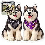 Two happy huskies posing like Halloween models in their spooky bandanas, sitting in front of a chain-link fence decorated with love locks and a beautiful sunset reflecting on the water behind them.