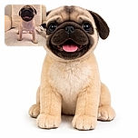A happy little pug puppy stands on a cozy textured blanket in front of a white couch, tongue out and eyes wide, ready to brighten anyone's day with its adorable charm.