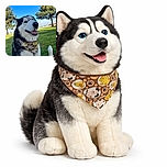 A happy husky dog sitting on lush green grass with a colorful cartoon-themed bandana, enjoying a sunny day in the park under a clear blue sky with tall trees in the background.