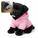 A cute black puppy wearing a pink shirt sits on a wooden floor looking up with big, soulful eyes, surrounded by a casual indoor setting with a bottle and some household items in the background.
