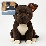 A serious-looking dog sits patiently on a mat indoors, staring directly at the camera with ears perked up, framed by a wooden floor and a metal grate in the foreground.