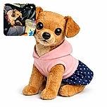 A tiny dog wearing a cute pink outfit sits on a person's lap inside a car, looking curiously at the camera. The steering wheel and a hand holding a cold drink with a pink straw are visible, with sunlight casting warm highlights on the scene.