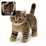 A wide-eyed tabby cat named Kovu stares into the camera like it has just discovered an unpaid snack bill, while its food bowl waits patiently in the tiled background. The rounded black border gives the scene the feel of a feline passport photo with dramatic flair.
