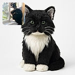 A fluffy black and white cat sits majestically on a sunny windowsill, gazing outside with a mysterious look, as if plotting its next adventure while soaking in some vitamin D.