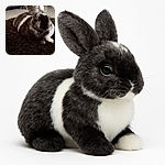A cozy black and white rabbit lounges on a dark textured rug, with a cage and some household items blurred in the background, giving a relaxed indoor vibe.