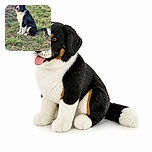 A cheerful black-and-white dog sits proudly in a grassy field, tongue out and tail fluffed like it has just been promoted to captain of the meadow. The natural lighting and detailed fur make this a bright, charming outdoor portrait.