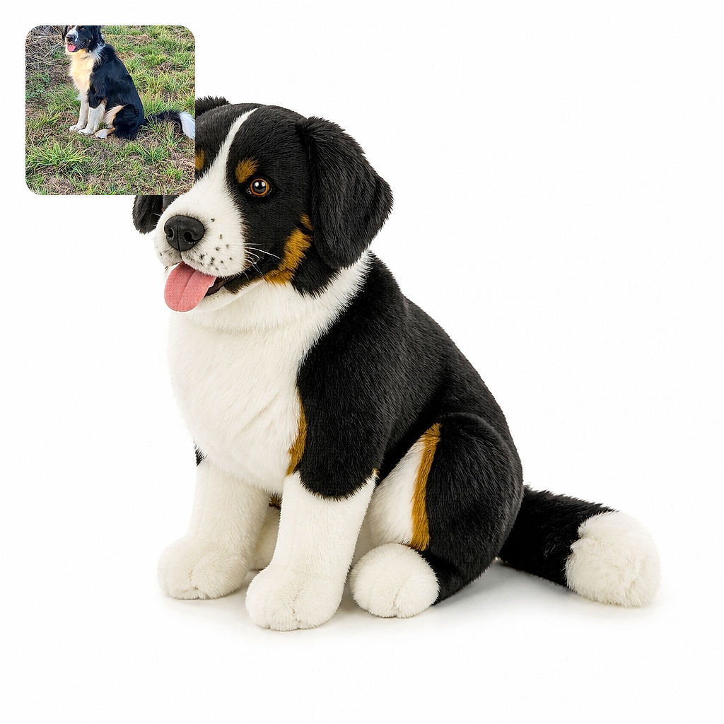 A cheerful black-and-white dog sits proudly in a grassy field, tongue out and tail fluffed like it has just been promoted to captain of the meadow. The natural lighting and detailed fur make this a bright, charming outdoor portrait.