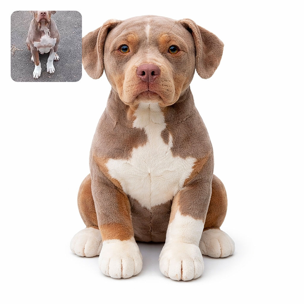 A solemn grey-and-white dog sits squarely in the frame on plain asphalt, staring up with big, expressive eyes as if waiting for a very important command (or snacks). Its white chest patch looks like an accidental snowflake, paws neatly planted, and the empty pavement background makes this pup the undisputed center of attention.