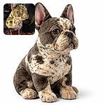 A brindle French bulldog dominates the frame like a tiny, judgmental bodyguard — ears up, eyes wide, perched on a cozy blanket in a car while a dimly lit person lounges in the background. Flash highlights the dog's wrinkled face and mottled coat; outside the window a storefront glow peeks through.