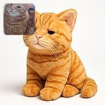 A fluffy orange tabby cat lounges comfortably, looking slightly unimpressed but undeniably cute, with a soft background hinting at a cozy indoor setting.