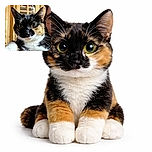 A close-up shot of a curious calico cat with strikingly large eyes, lounging on a blue plaid shirt. The background shows a wooden cabinet and part of a person's face with glasses peeking from the side, adding a cozy home vibe.