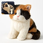 A fluffy calico kitten lounges comfortably on a dark leather surface, its soft fur contrasting with the smooth texture beneath. The kitten's curious eyes gaze gently, framed by a mix of white, black, and orange patches, while its tiny paws rest delicately, inviting a cozy cuddle.