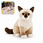 A regal cream-colored cat lounges on a cozy blanket like the guest of honor at its own birthday party, staring into the camera with the serious expression of a tiny furry executive. Colorful balloons, bunting, presents, candles, and a giant “HAPPY BIRTHDAY” graphic complete the celebration.