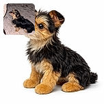 A small black and tan dog with scruffy fur sits attentively on a patterned carpet, looking up at a person wearing beige pants. The lighting highlights the dog's expressive eyes and textured coat, capturing a candid moment of anticipation or curiosity.