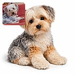 A fluffy dog lounges comfortably on a red couch, looking back at the camera with a curious and slightly mischievous expression, surrounded by a cozy indoor setting with warm lighting.