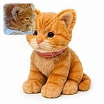 A fuzzy ginger cat curled up on a soft white blanket, looking off to the side with a slightly sleepy expression. The image is a bit blurry, giving it a cozy, dreamlike feel.